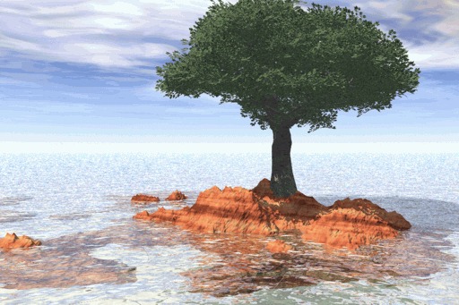 mare_albero.jpg
